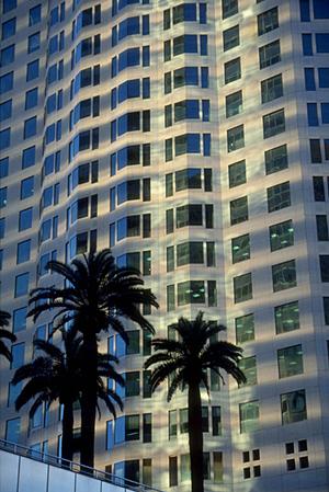 伊東市の動産会社が行なっているサービス